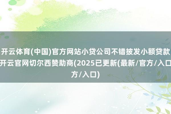 开云体育(中国)官方网站小贷公司不错披发小额贷款-开云官网切尔西赞助商(2025已更新(最新/官方/入口)