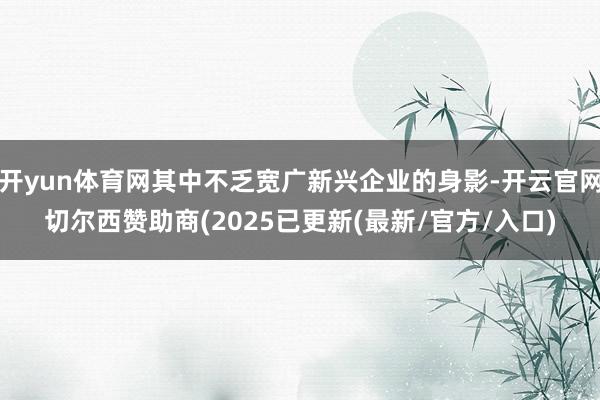 开yun体育网其中不乏宽广新兴企业的身影-开云官网切尔西赞助商(2025已更新(最新/官方/入口)