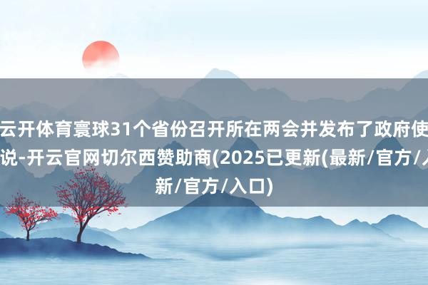 云开体育寰球31个省份召开所在两会并发布了政府使命解说-开云官网切尔西赞助商(2025已更新(最新/官方/入口)